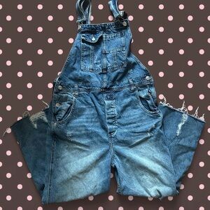 We The Free light blue denim overalls